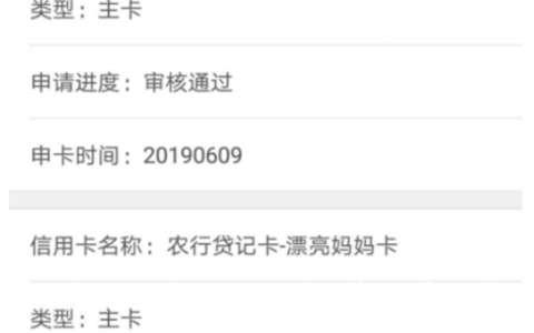 大量接单，有农行白金卡的看过来，找我给你弄10万的卡！无押金操作