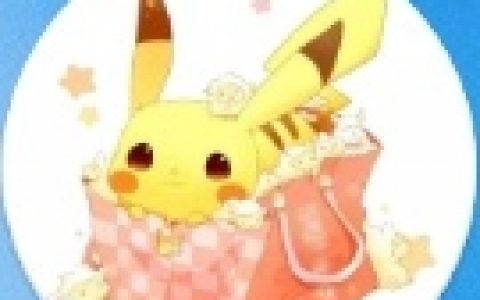 宝可梦贷款:审核接到客服电话就放款,烈焰马系列口子