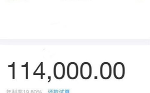 支付宝车金融要抵押绿本吗?线下审核好通过吗