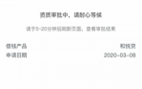 和包支付和悦贷审核多久出额度?热炒的手机号贷款