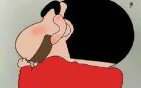 蜡笔晓薪:审核通过秒放款,嘉年华系列2020口子