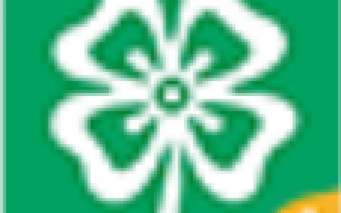 四叶草贷款app苹果版下载地址!小虫来钱同款口子