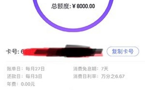 上海花卡小赢卡怎么样是什么?热炒小赢钱包新马甲