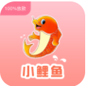 小鲤鱼贷款怎么样靠谱吗?小悟空系列口子好下款