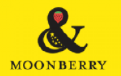 新豪会借款:审核通过秒放款,大圣系列新口子