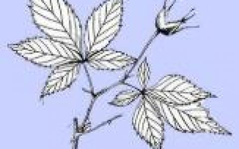 长沙银行心意通卡审核要多久?能取钱吗