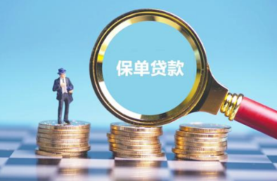 保单有本保险公司的贷款可以退保吗