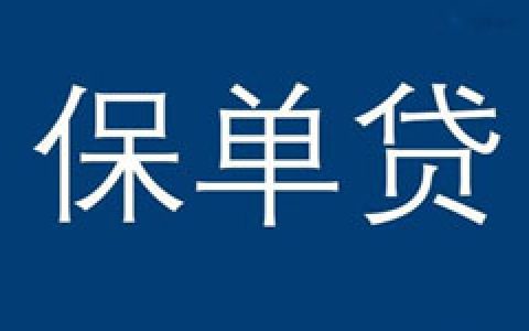 哪里可以用保单贷款?3000保单贷款多少