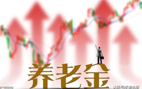 农民怎么购买养老保险?农村社保2019一次性9万