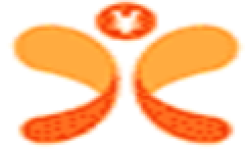 中信银行单币信用卡年费是多少?是什么卡