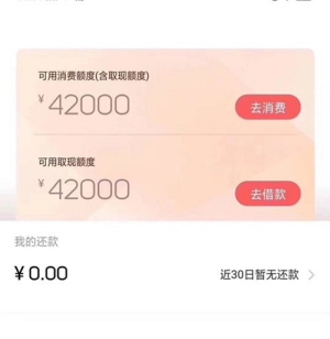 koo分期靠谱吗怎么样?审核通过上征信吗
