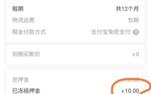 八戒租手机审核要多久,八戒租机不还会怎么样