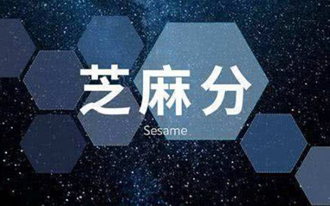 用芝麻分贷款的平台有哪些,2020只看芝麻分的贷款