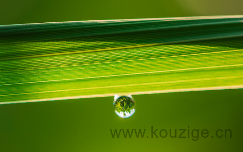 炒股心态崩了怎么办,炒股心态重要还是技术重要