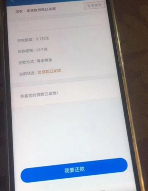 金蝶效贷是正规的吗,金蝶效贷容易申请吗