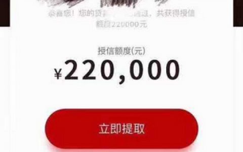65岁以内可以借款的平台,全国疯狂收单件均20万