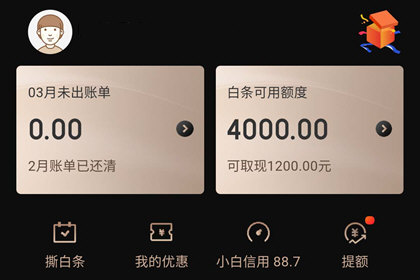 京东白条怎么用靠谱吗?京东白条可以提现吗-2