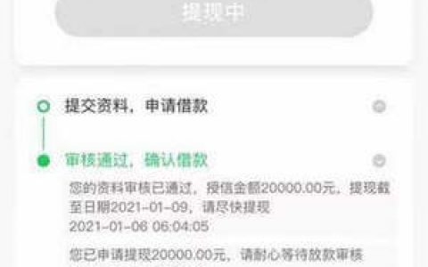 微博钱包一直在审核中,在微博钱包借钱上征信吗