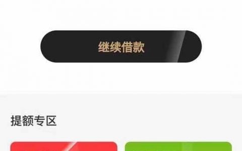 借款大王是怎么样正规平台吗，借款大王还能借钱吗