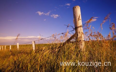 平安保单宝贷款利息高吗?平安银行保单贷款可以贷多少