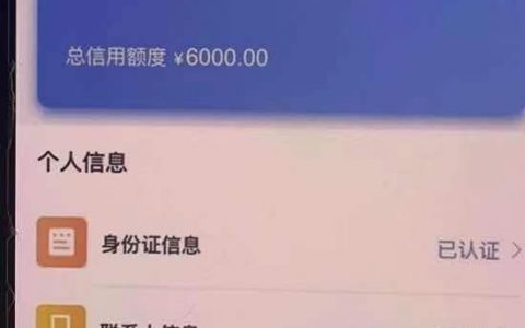 u呗借款有人用过吗好下款吗，u呗借款审核要多久