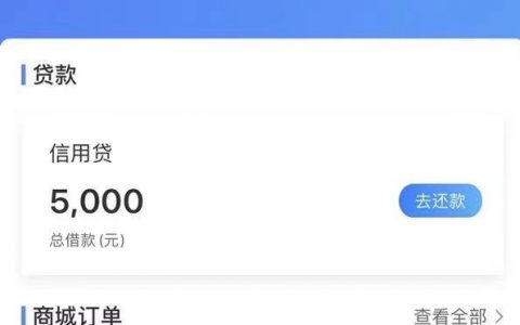 国美易卡是正规贷款吗上征信吗，国美易卡保险保障服务是什么意思