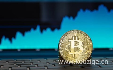 放心借放款审核中会失败吗?一直显示放款审核中