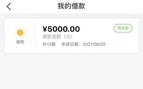 微信除了微粒贷还有什么可以借钱，微信借钱平台大全