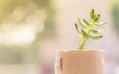 有钱花频繁申请有影响吗?