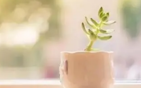 银行有现金贷款吗？银行消费贷款如何申请？