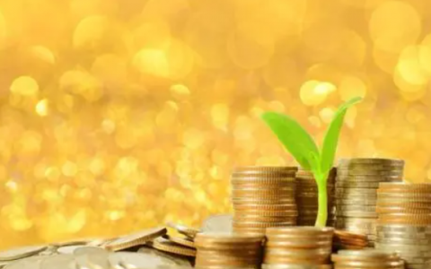 信用评估未通过哪里能贷款?借钱应急百分百下款的