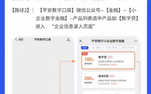 平安银行数字贷怎么样好批吗，平安数字贷申请条件及流程