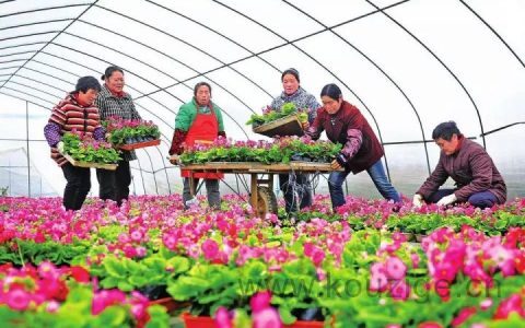 平安银行信用卡最后还款日宽限几天？