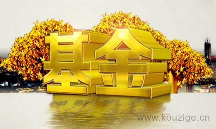 etf基金和普通基金区别（基金种类和各种基金特点）-1