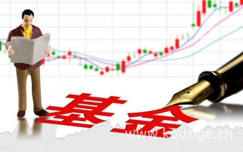 基金爆雷是什么意思（基金公司暴雷的原因）