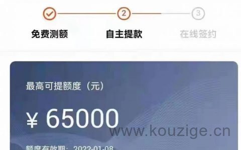 有车就能贷款的正规平台，不押车，有行驶证秒下款