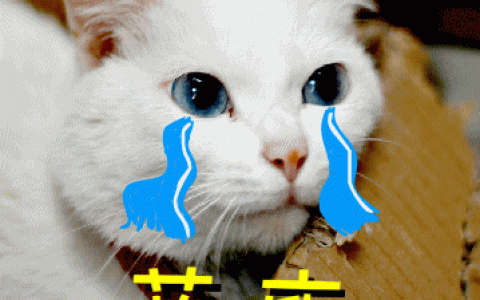 网贷逾期怎么协商还款，协商停息挂账的3个技巧