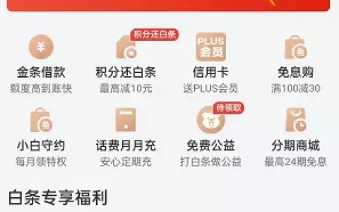 京东白条卡和白条的区别，白条有必要升级成白条卡吗