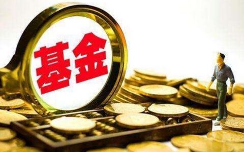 基金定投会亏损本金吗（基金定投分析图）