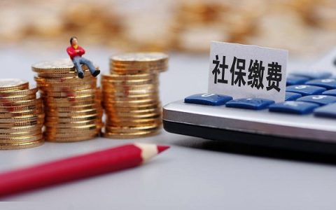 社保费用多少钱一个月2022，2022年个人社保缴费标准表