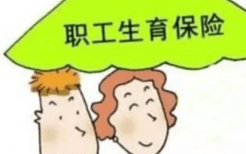 生育津贴怎么查询到账，和工资是否冲突