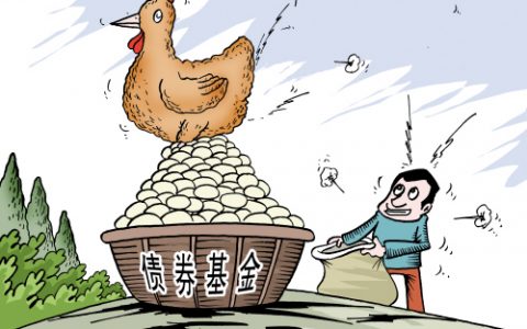 债基和货币基金哪个风险小，安全性高的债券基金