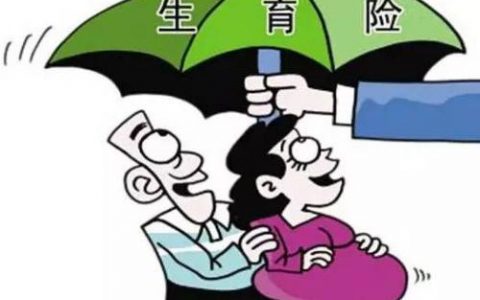 男职工如何使用生育保险，报销范围和条件