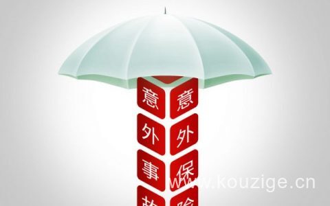 买100万的人身意外保险要多少钱？