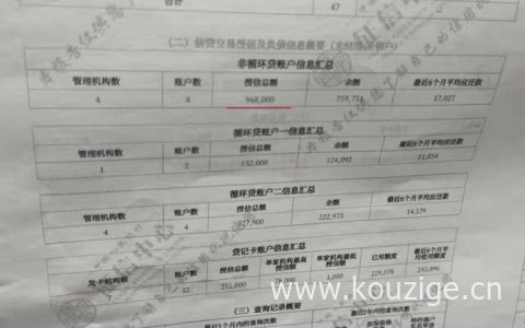 网贷太多无力偿还怎么办，网贷自救方法