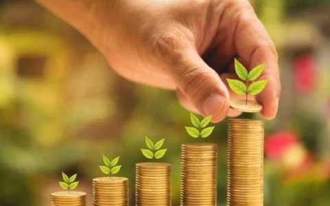 小额信用贷款能贷多少，小额信贷简单介绍