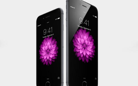 iphone24期免息可以提前还吗，可以但没必要