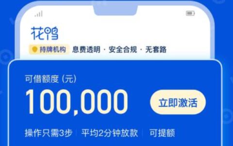 花鸭借钱一直审核中好通过吗?容易下款吗