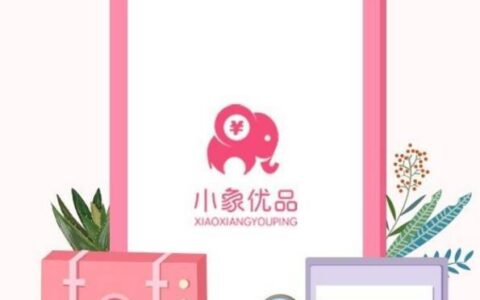 小象优品借款有额度借不出来,怎么上征信了