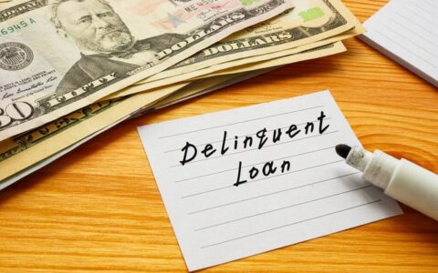 分期乐没有额度怎么回事，建议你这样做